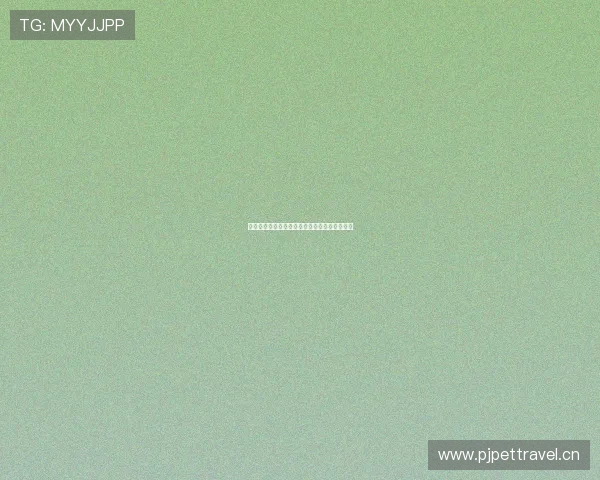 无插件高清体育赛事直播全程观看平台推荐指南