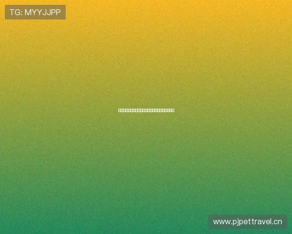 欧洲体育迷如何通过多种途径观看实时体育赛事直播