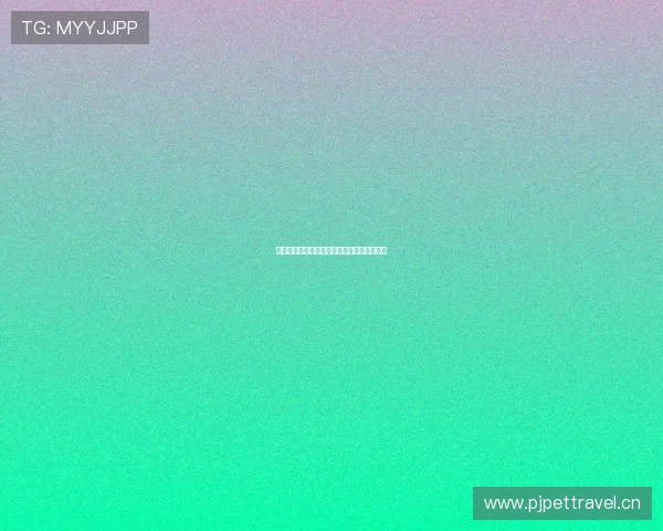 龙珠体育直播全场精彩呈现足球赛事实况解说